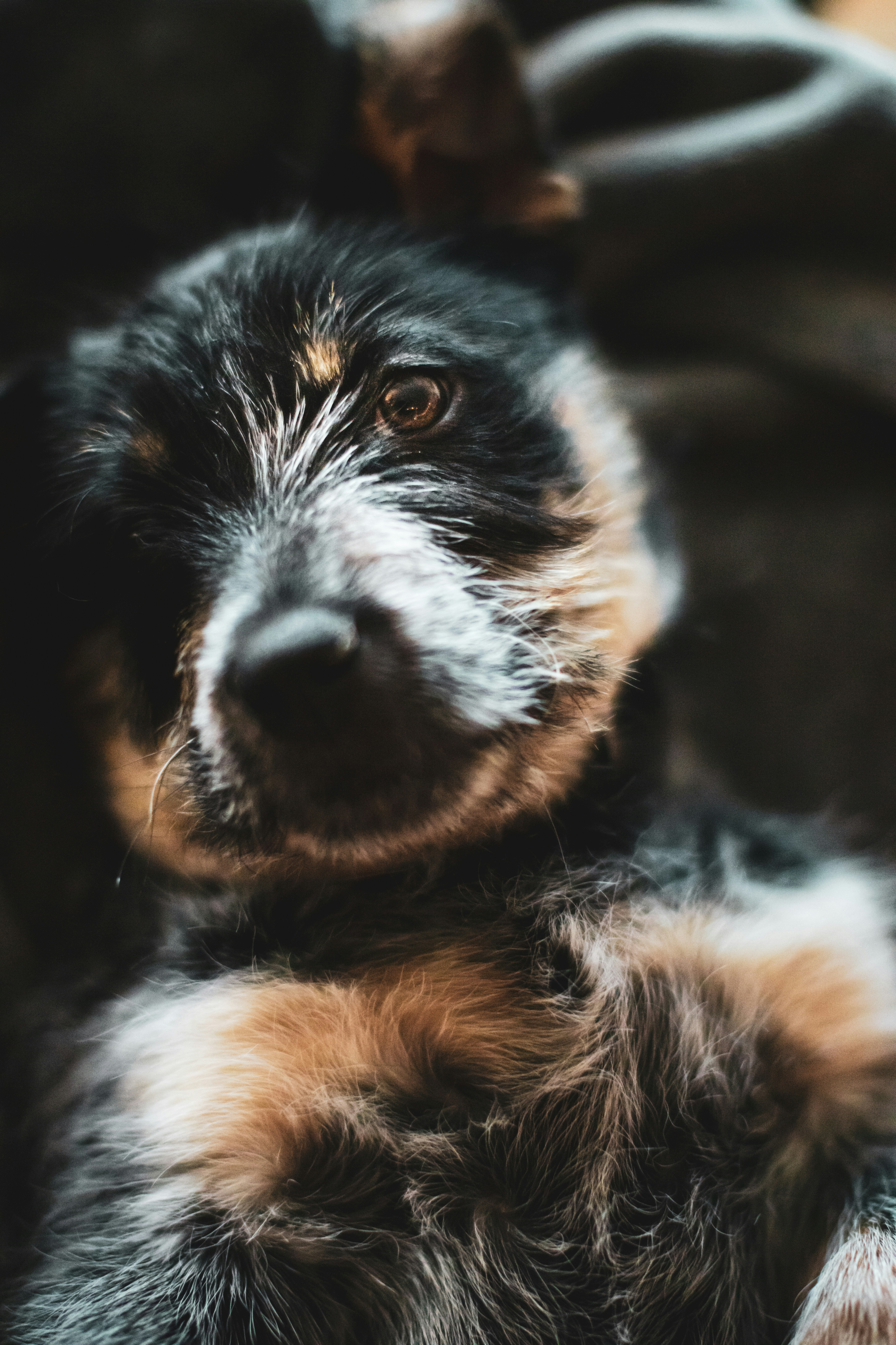 Photo by worldsbetweenlines