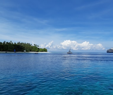 green trees on island surrounded by sea under blue and white cloudy sky during daytime