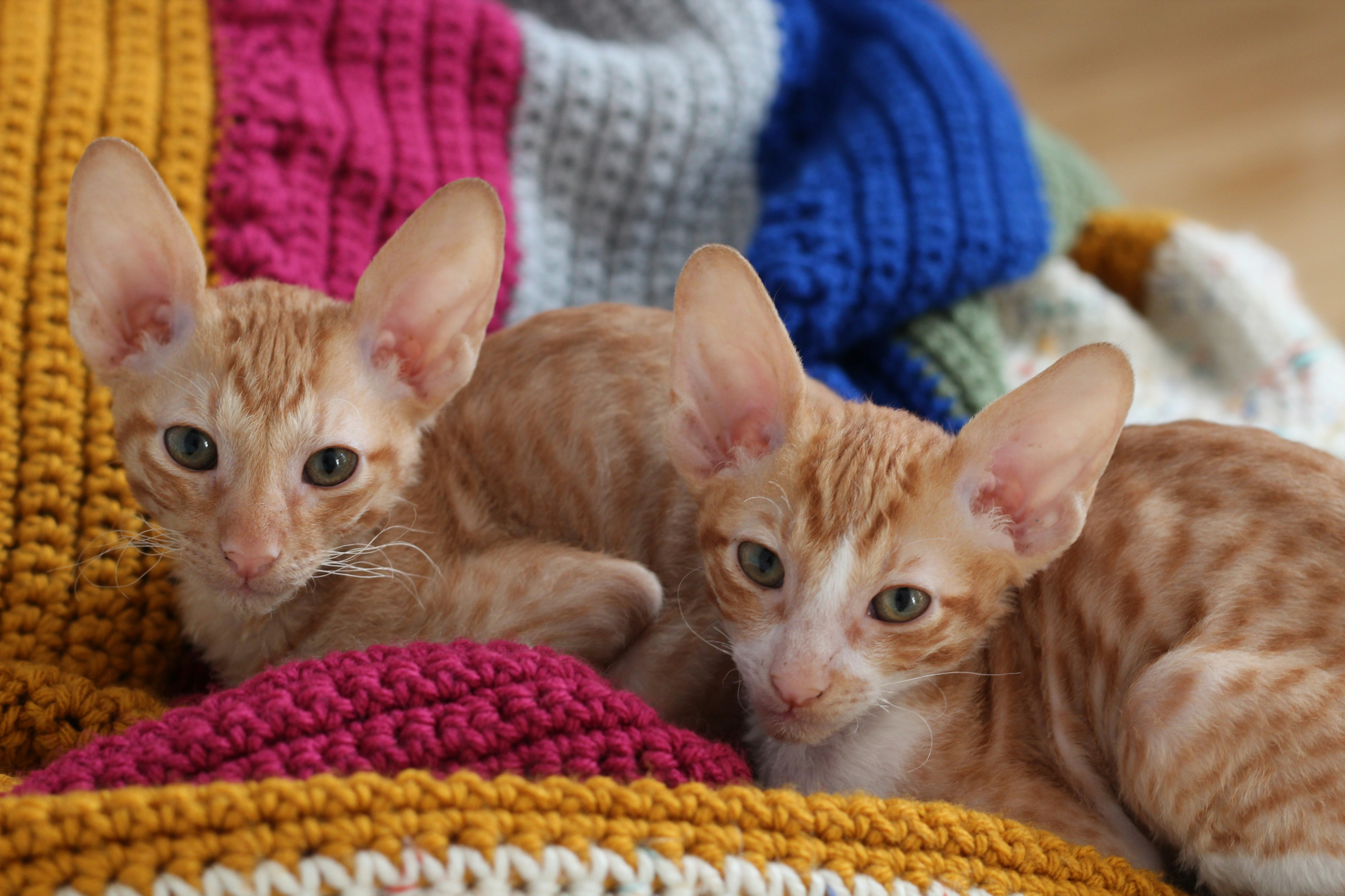 Photo by siland_colors