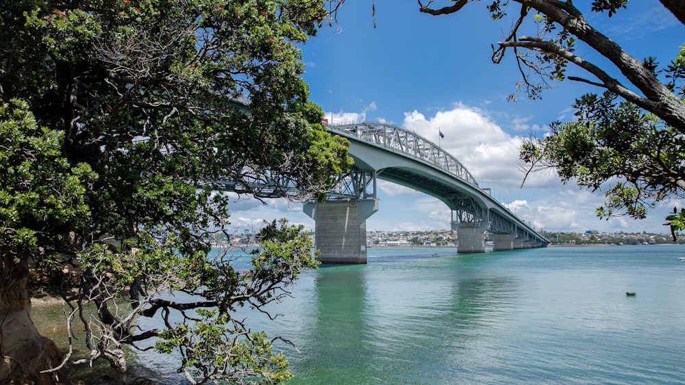 white bridge over river during daytime