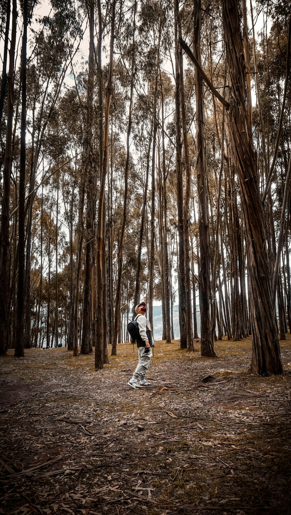 man in gray jacket and blue denim jeans walking on forest during daytime