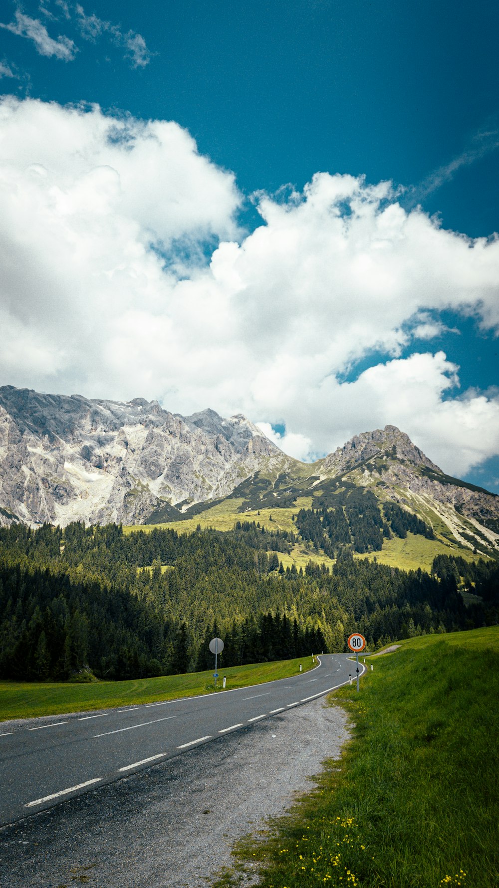 green trees near mountain under white clouds and blue sky during daytime