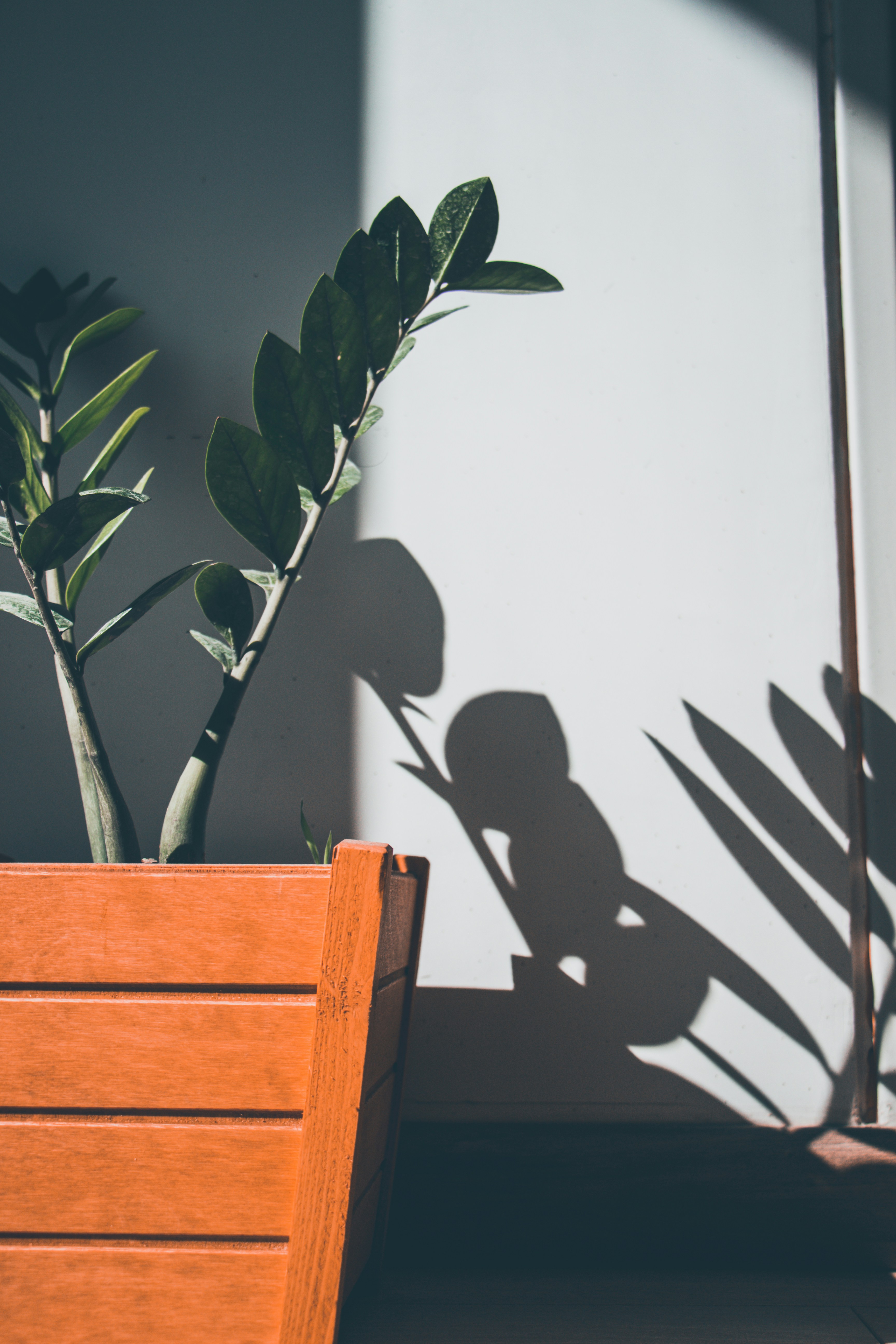 Photo by arya_beikzadeh