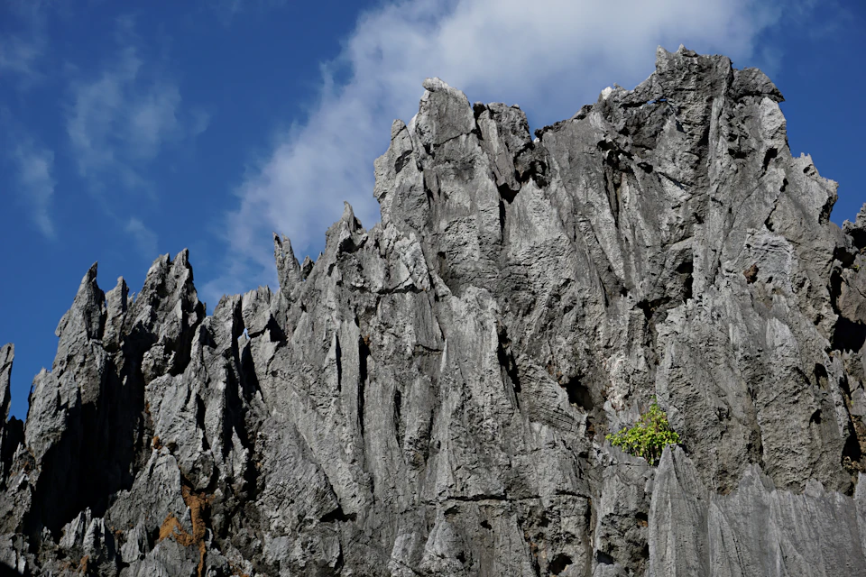 The image depicts a rugged, gray rock formation with numerous jagged edges and crevices. The rocks are composed of layers of sedimentary material, giving them an almost textured appearance. A small green plant has found its way into one of the crevices, adding a touch of life to the otherwise barren landscape. The sky above is a clear blue, dotted with fluffy white clouds that cast shadows on the rocky terrain below.