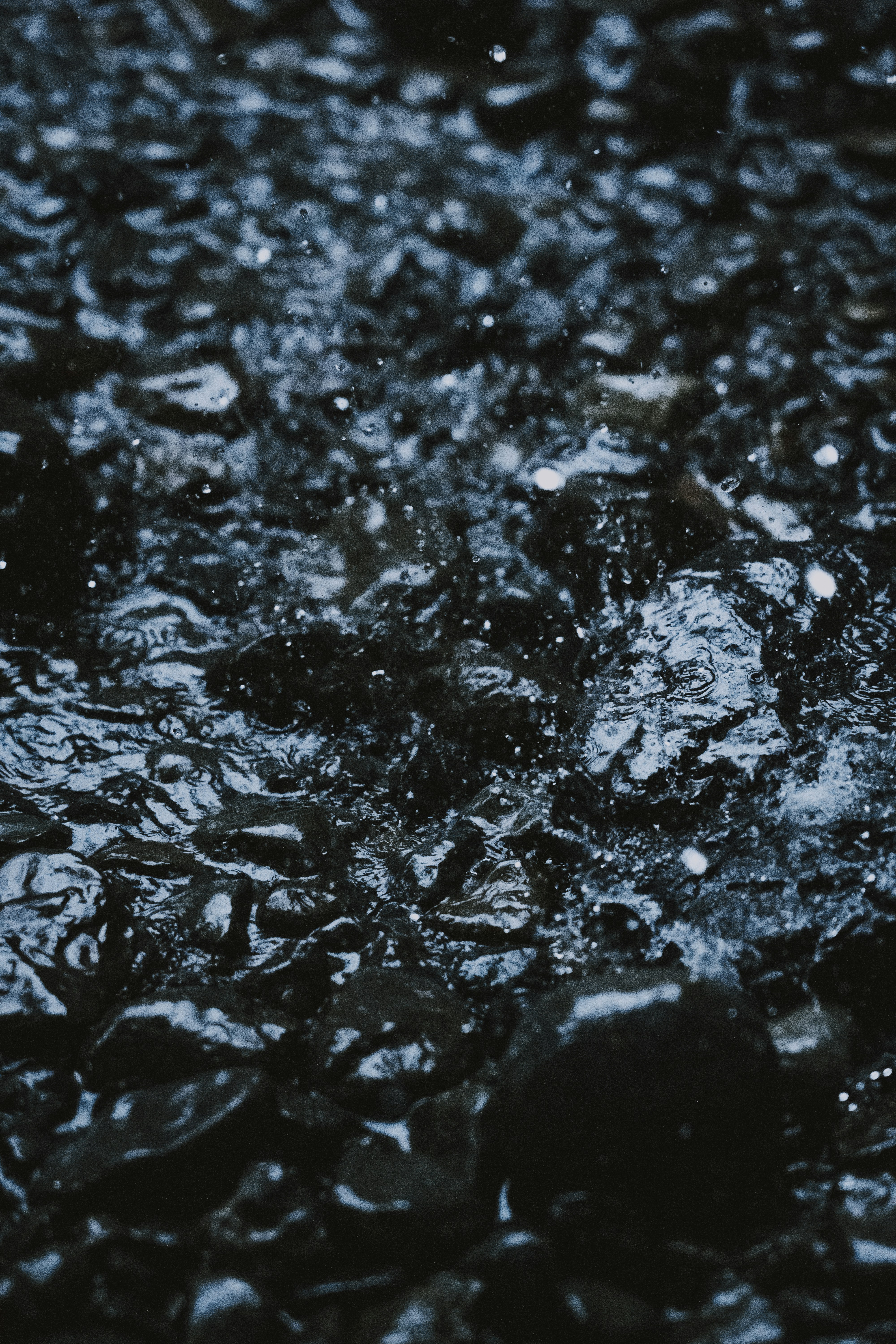 Photo by milestogobeforeisleep