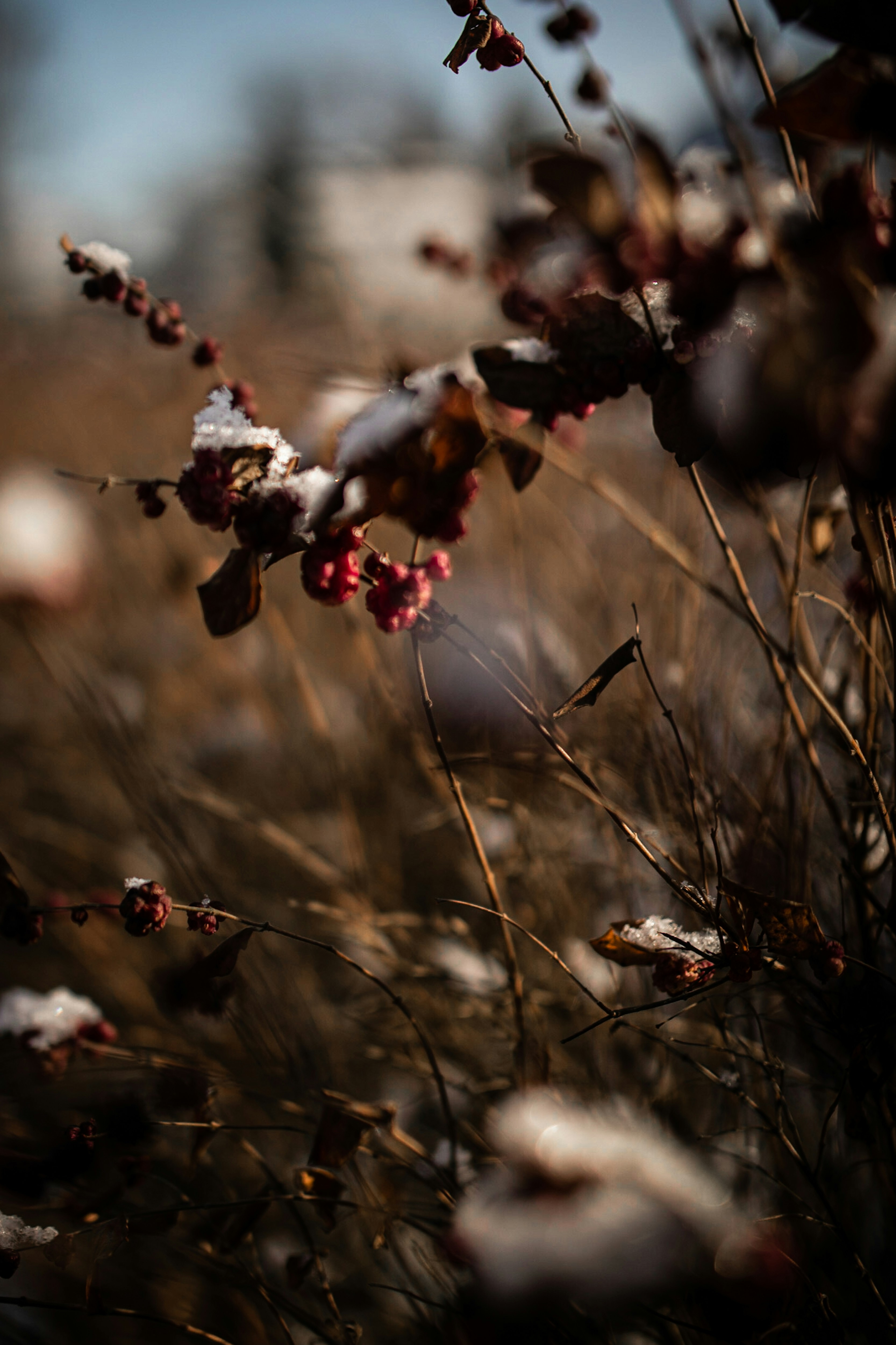 Photo by kajareichardtphotos