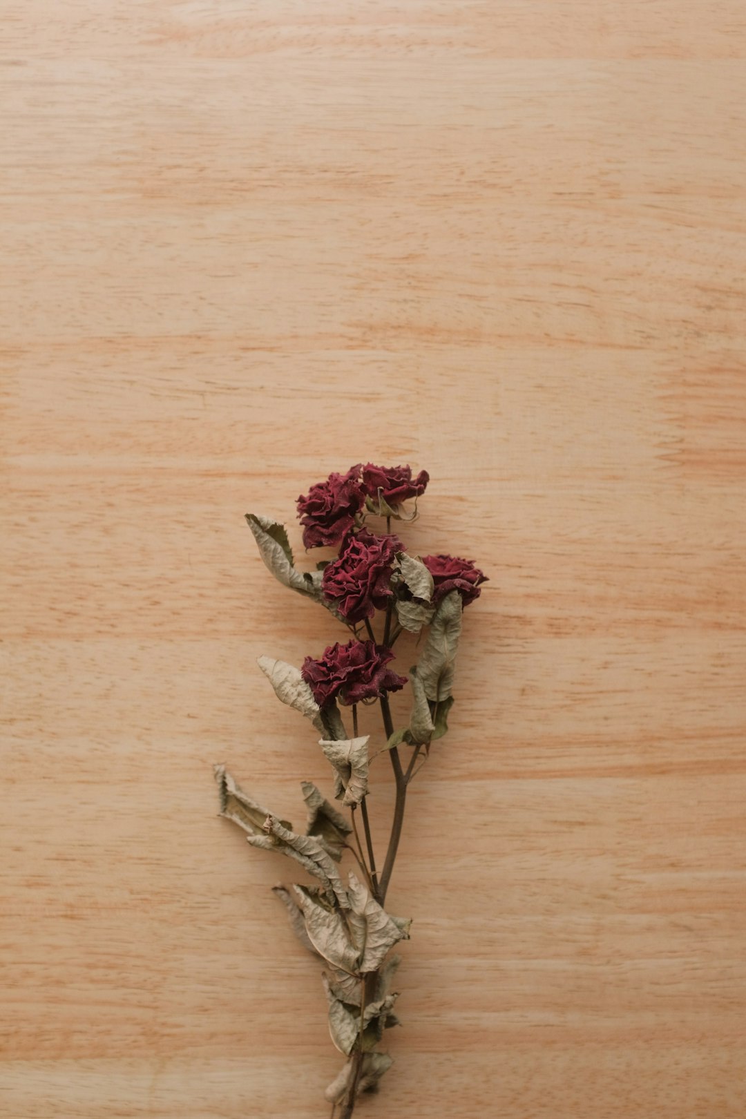 red and white flowers on brown wooden table