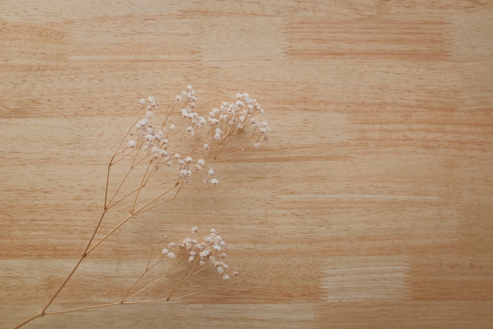 white flowers on brown wooden table