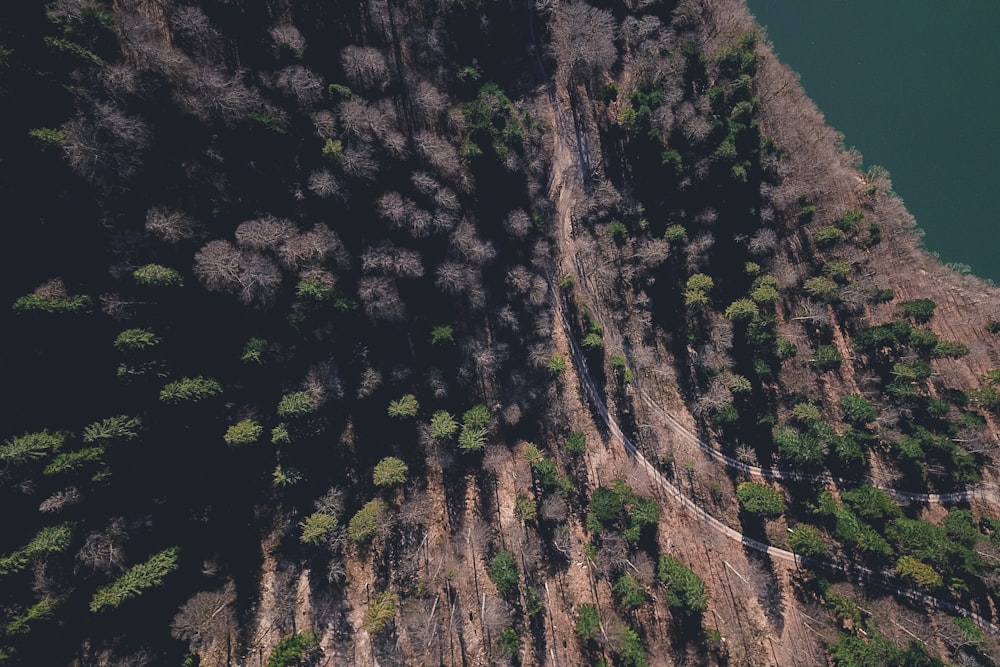 an aerial view of a winding road in the mountains