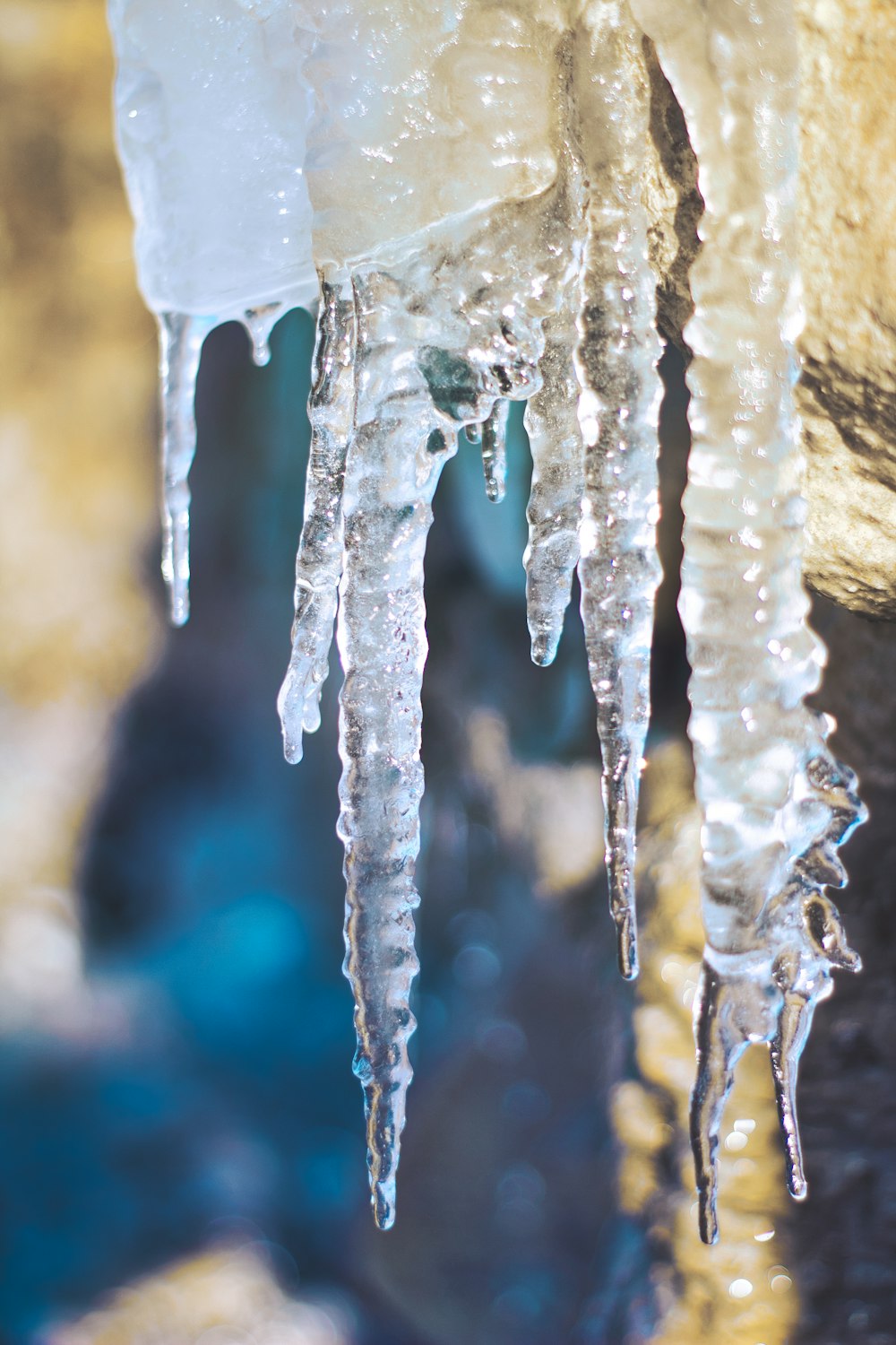 Glace blanche sur une branche d’arbre brun