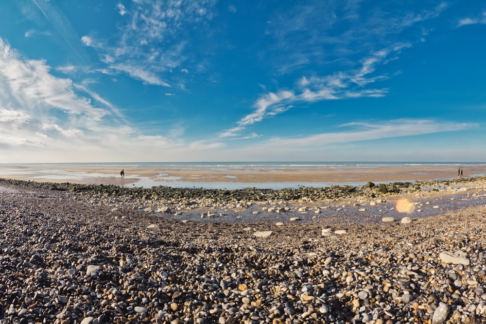 people walking on beach during daytime