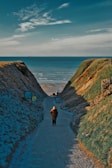 2 person walking on pathway between green grass field during daytime