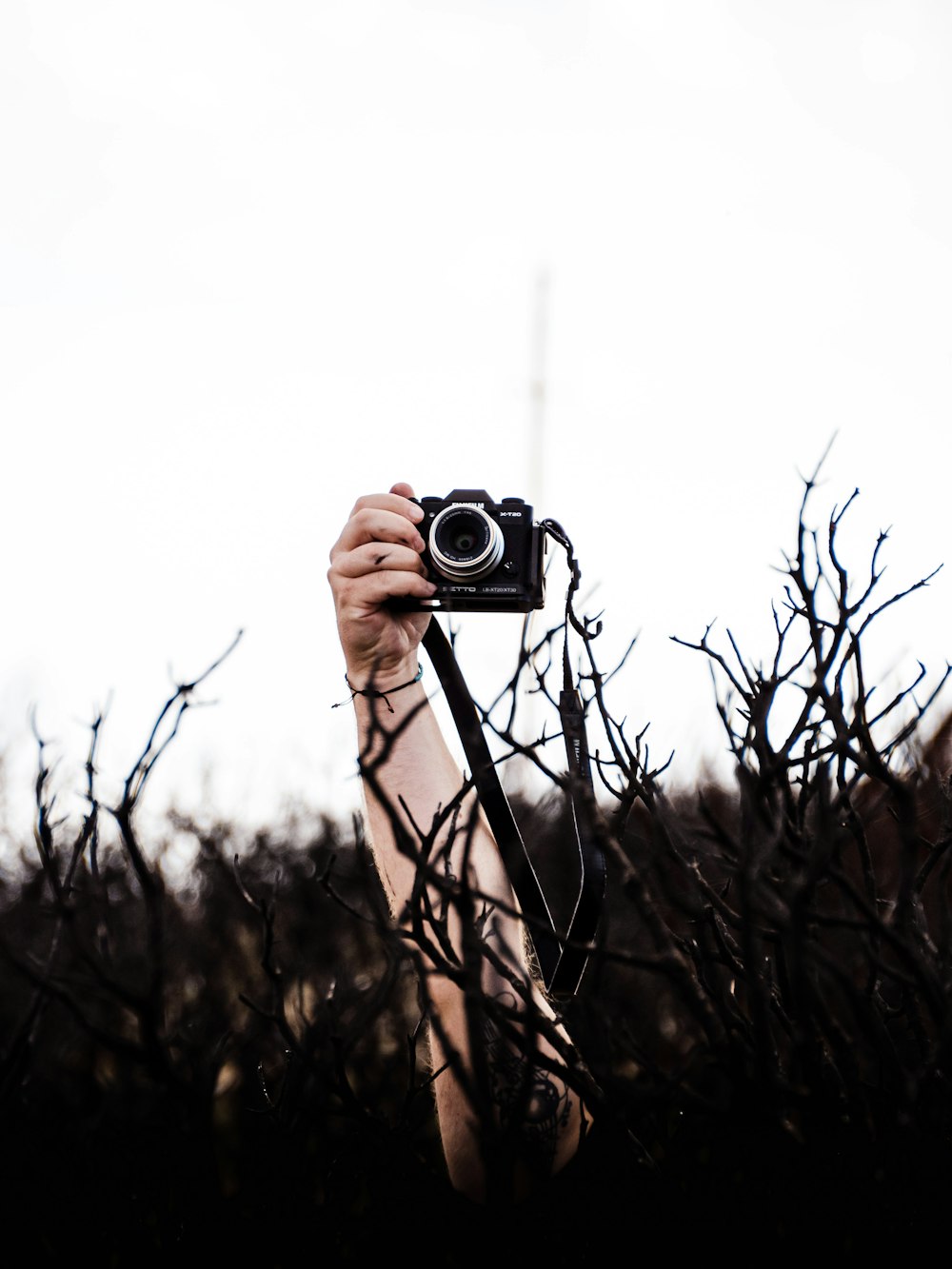 person holding black and silver camera