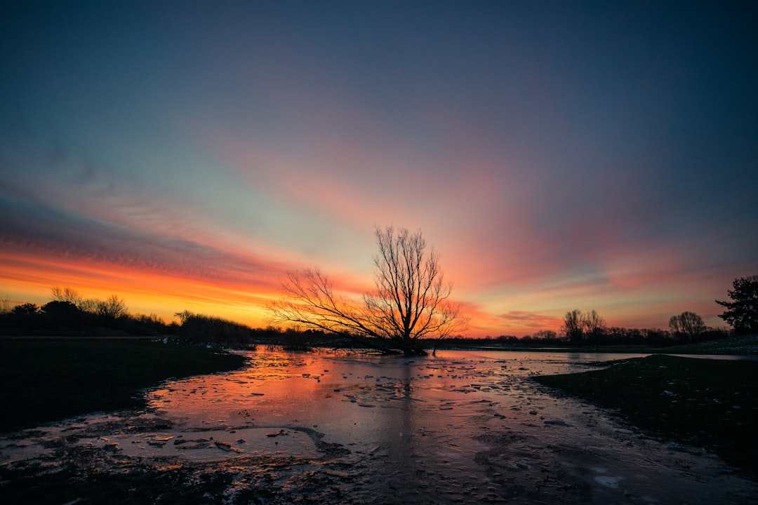 body of water during sunset