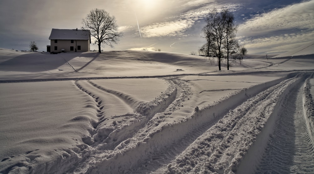 white snow covered field during daytime