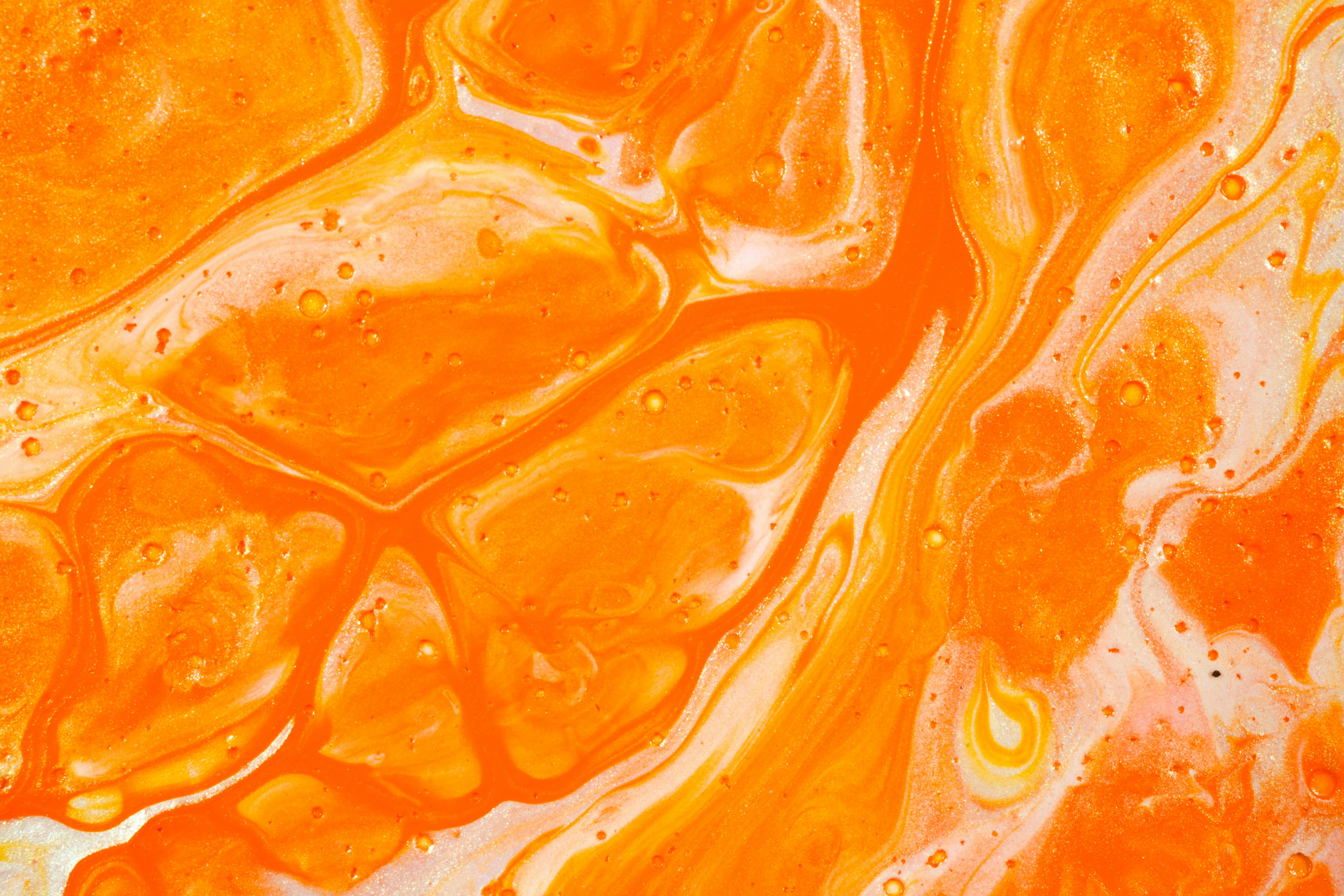 בין פרויד לפורנו: תשע פנטזיות על אהבה