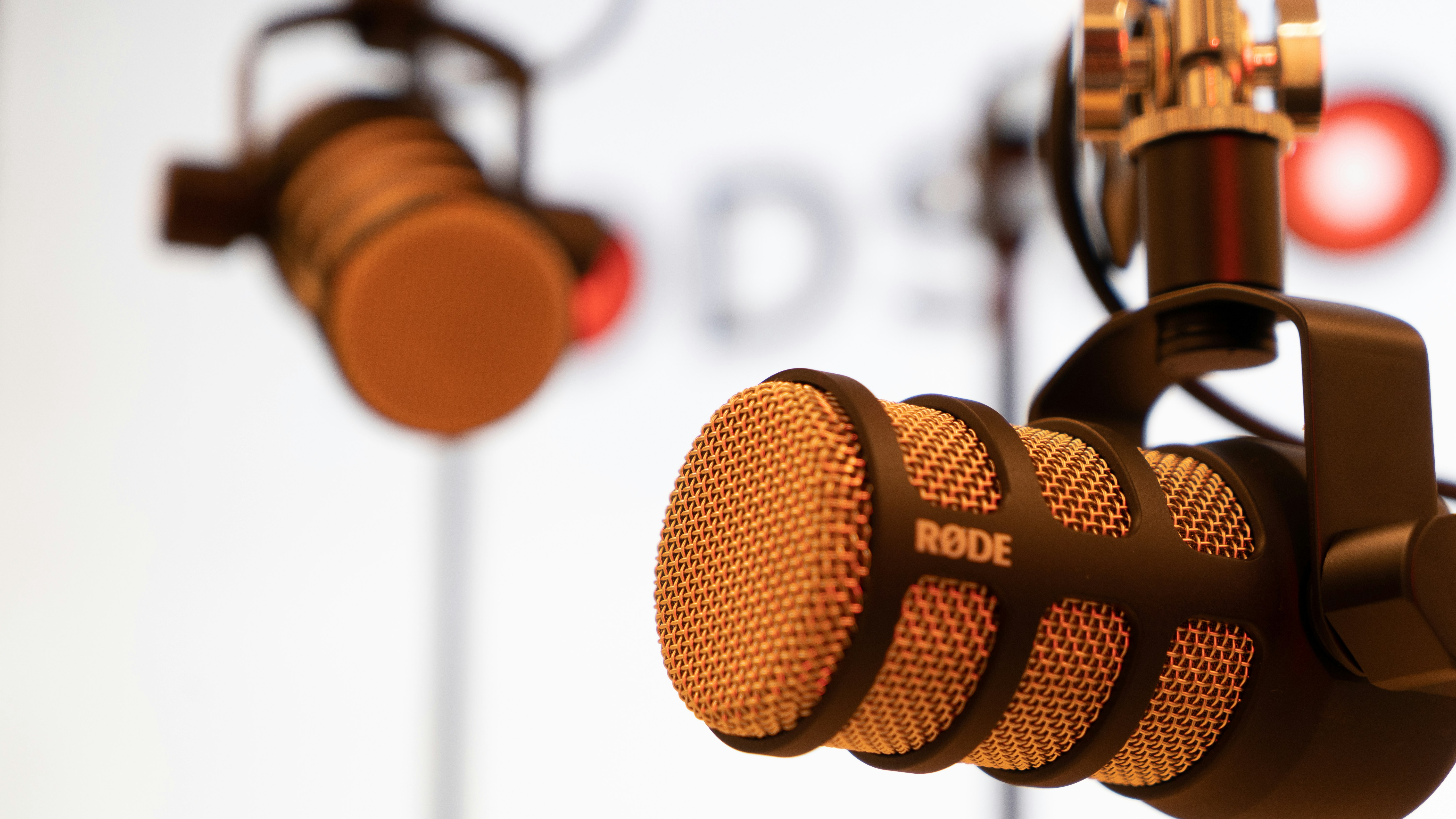 People working on laptops