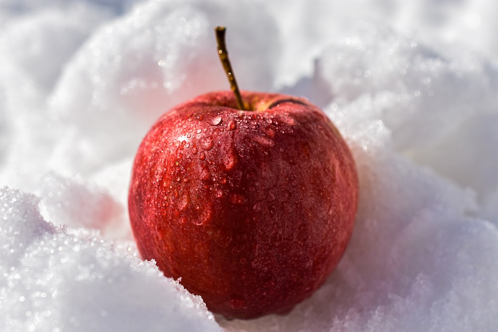 mela rossa su neve bianca