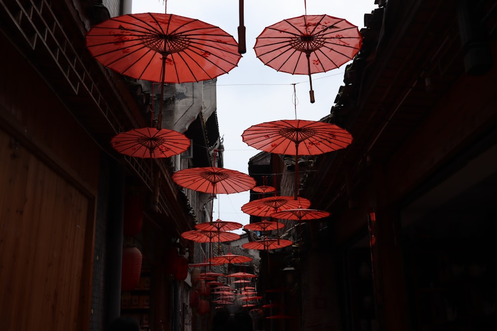 rote und weiße Regenschirmschirme, die tagsüber an braunen Holzpfosten aufgehängt werden
