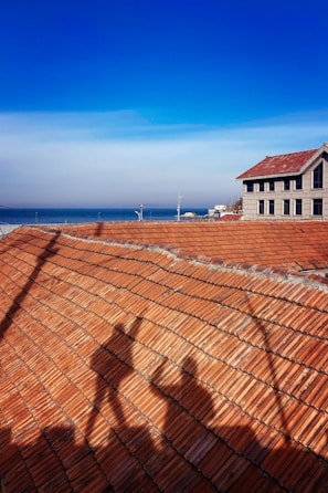 A rooftop with red shingles casting the shadow of a Ferris wheel in the foreground. A building with a gable roof stands to the right, with windows reflecting daylight. The background features a clear blue sky and a distant view of the sea.