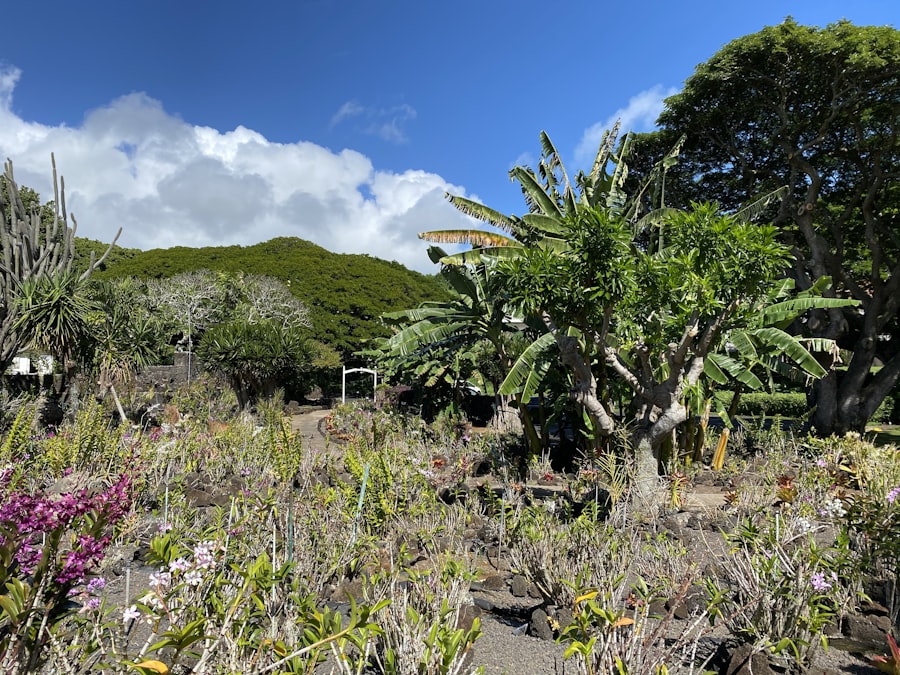 Lush tropical botanical garden with waterfall and flowers