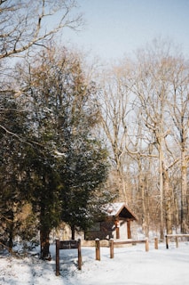 A small wooden shelter in a snowy forest clearing. The ground and trees are covered with snow, and a tall evergreen tree stands prominently on the left. There is a signpost and a few wooden posts near the shelter. Bare trees in the background indicate a winter season.