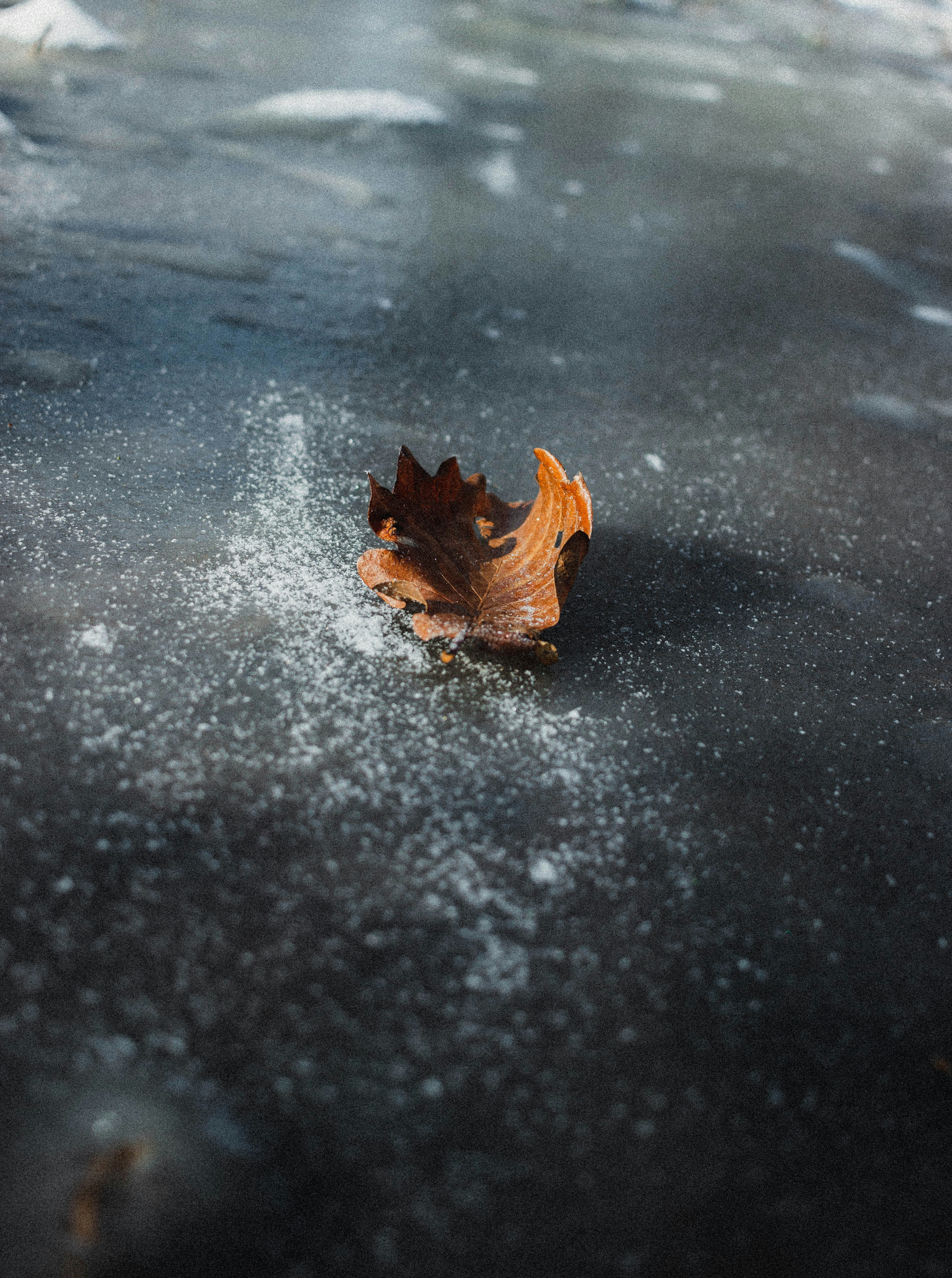 Photo by matreding