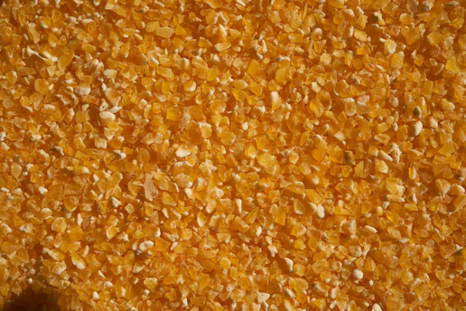 A close-up of golden corn kernels symbolizing high-quality raw materials for feed and food industries.