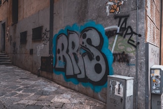 An urban alleyway features a prominent graffiti piece on a stone wall with the letters 'BRS' in bold black and white, surrounded by a blue outline. The surrounding walls display various smaller graffiti tags and stickers. The ground is paved with uneven stone tiles, and a few utility boxes are present, also covered in stickers and graffiti.