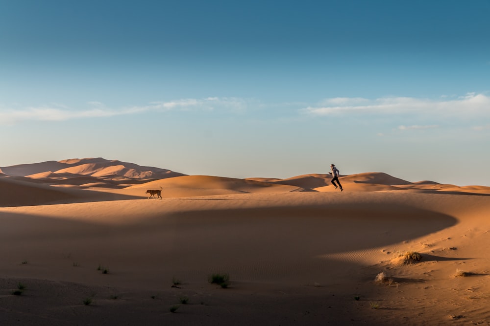 brown sand and green grass field during daytime