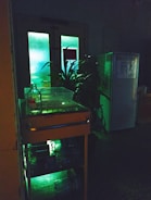 A dimly lit room with a fluorescent green glow coming from a double door. A plant with long leaves is positioned in front of the door. A small cart with a transparent top holds a bottle and a plastic container, while two large bottles are stored in its open shelves. A refrigerator is visible in the corner with papers attached to its front.