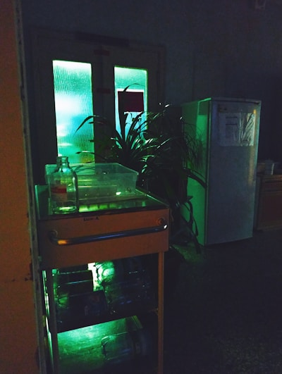 A dimly lit room with a fluorescent green glow coming from a double door. A plant with long leaves is positioned in front of the door. A small cart with a transparent top holds a bottle and a plastic container, while two large bottles are stored in its open shelves. A refrigerator is visible in the corner with papers attached to its front.