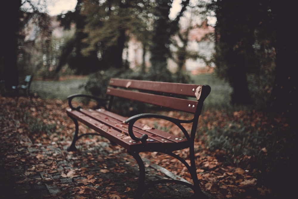 brown wooden bench in forest during daytime