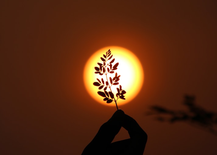 silhouette of person holding sun