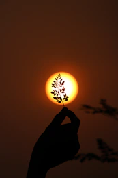 silhouette of person holding sun