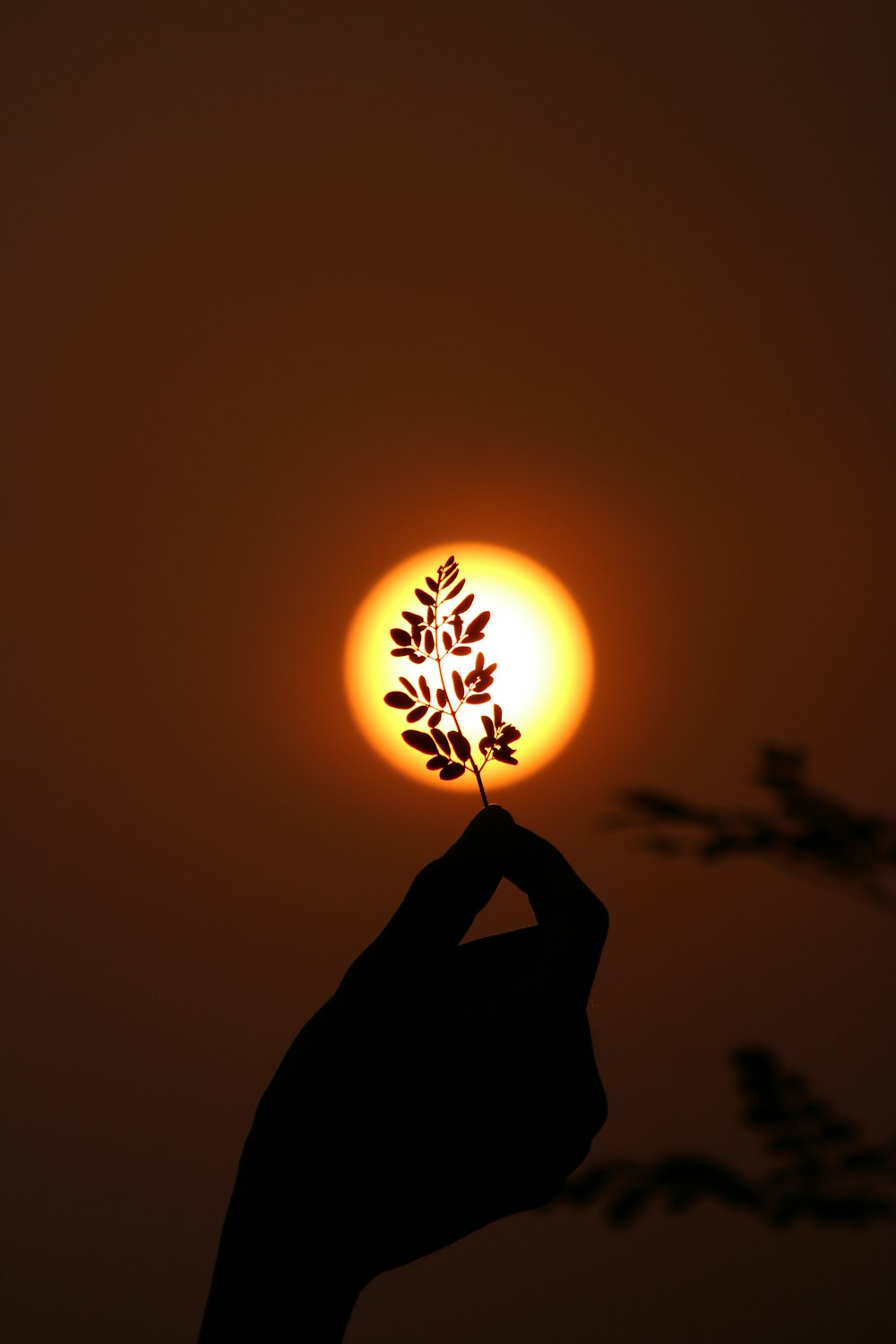 Silhouette der Person, die die Sonne hält