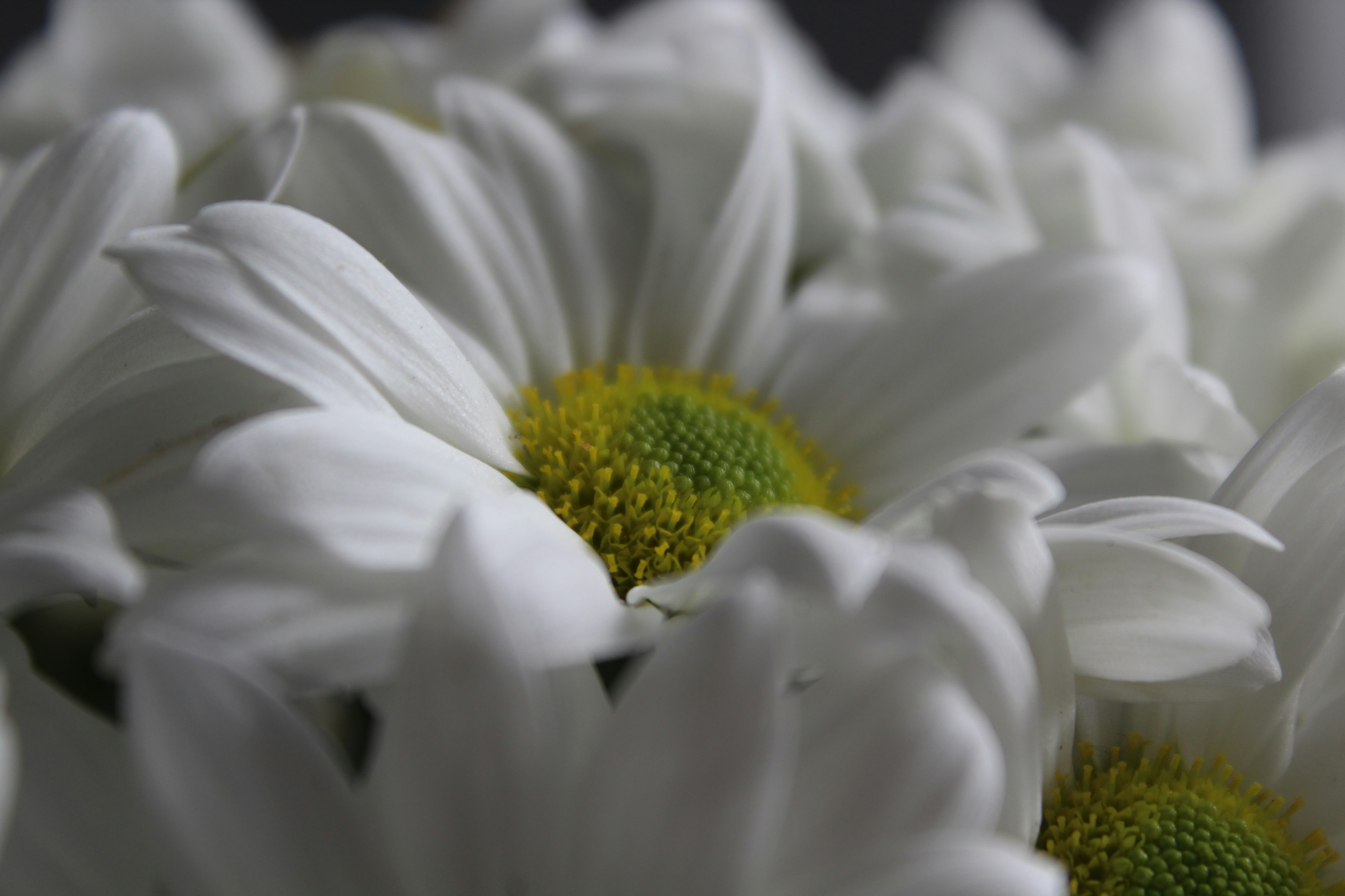 Photo by dilaraserdar