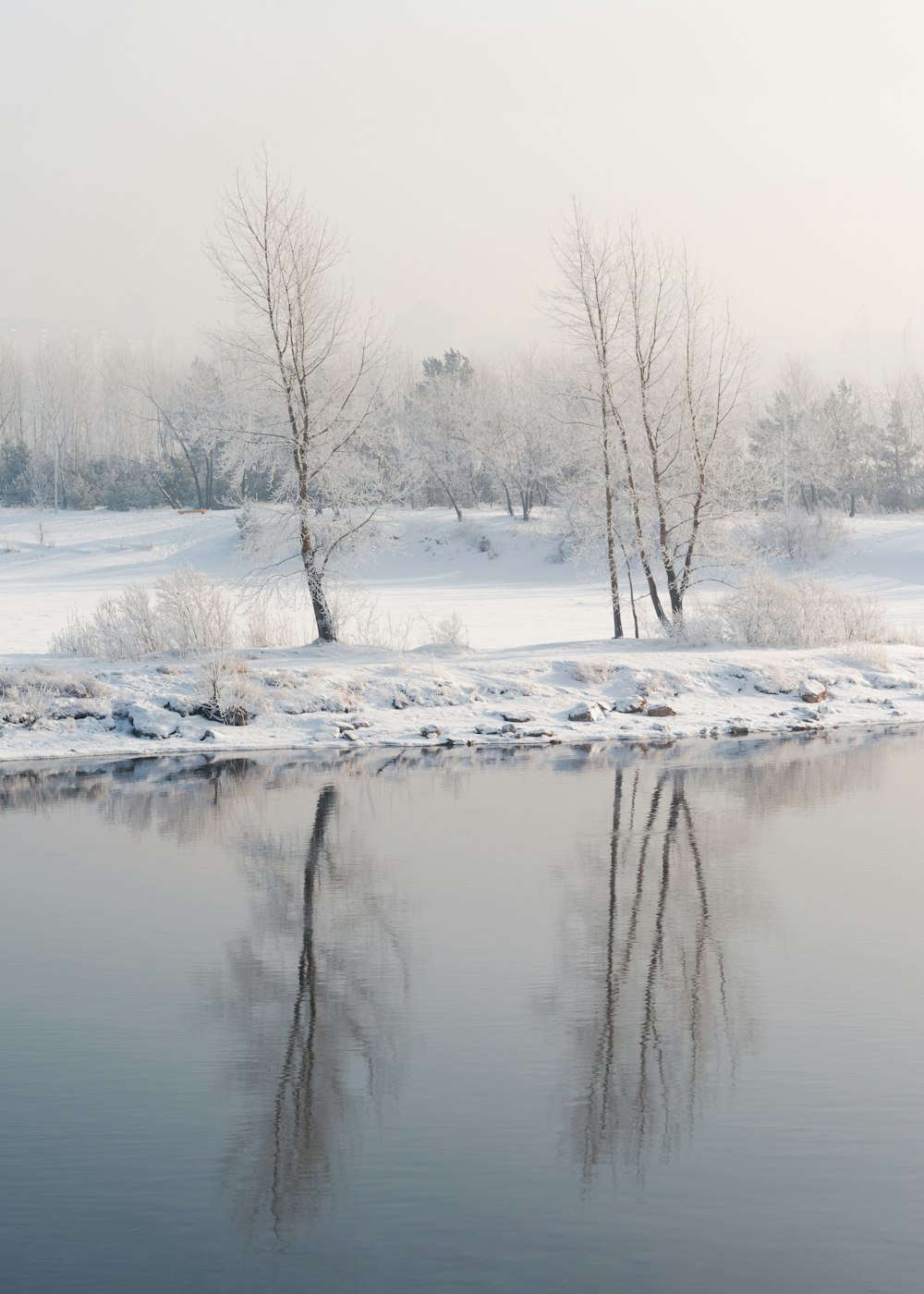 bare trees on snow covered ground near lake during daytime