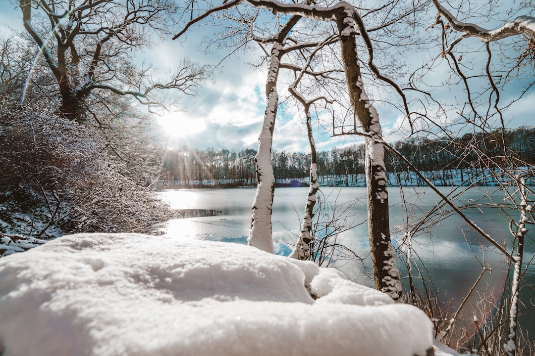 snow covered ground near body of water during daytime