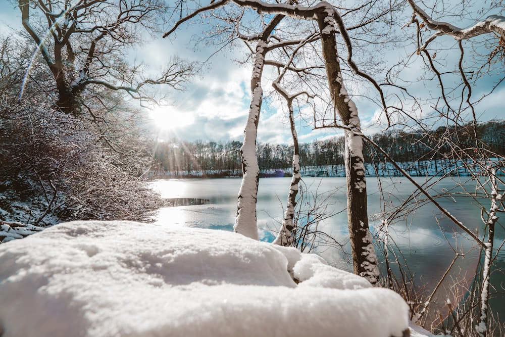 Suelo cubierto de nieve cerca del cuerpo de agua durante el día