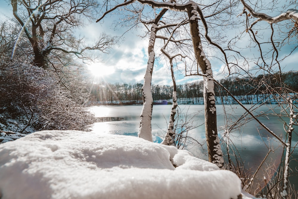 snow covered ground near body of water during daytime