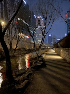 A nighttime urban scene featuring a serene pathway alongside a narrow river or canal. The path is lined with bare trees and illuminated by warm streetlights. High-rise buildings with lit windows and neon signs fill the background, reflecting on the water's surface. The atmosphere is quiet and introspective.