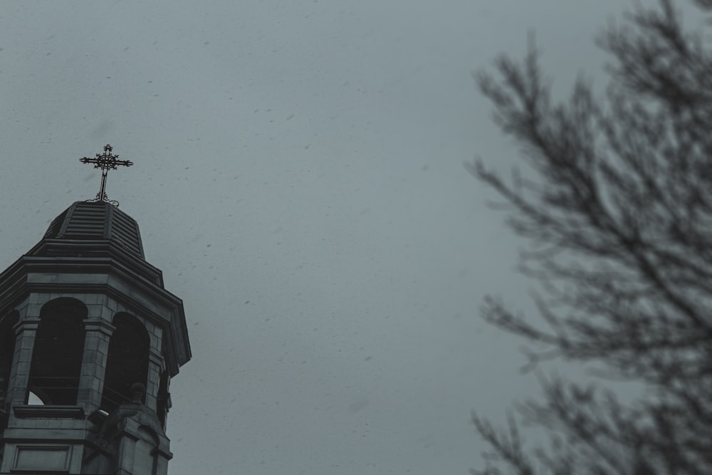 black bird flying over the building