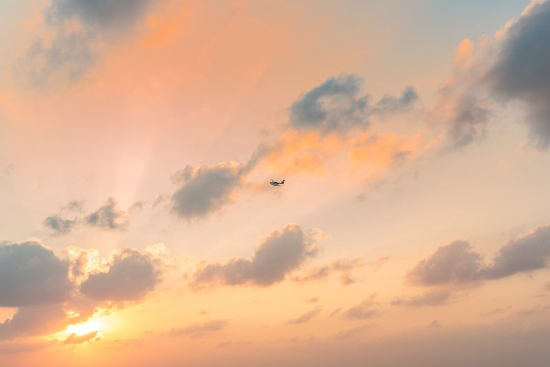 airplane flying in the sky during sunset