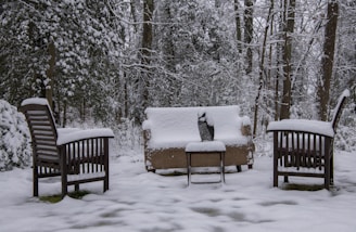 brown wooden bench covered with snow