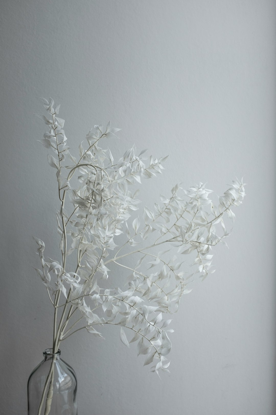 white flowers on white wall