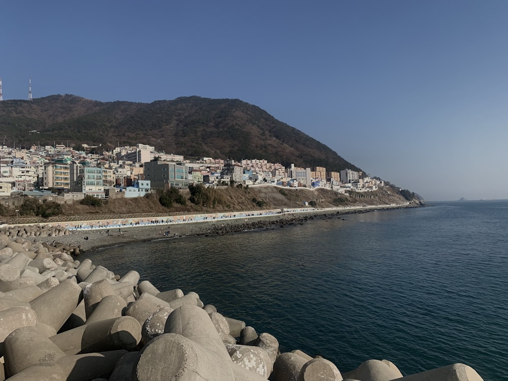 white and brown concrete buildings near body of water during daytime