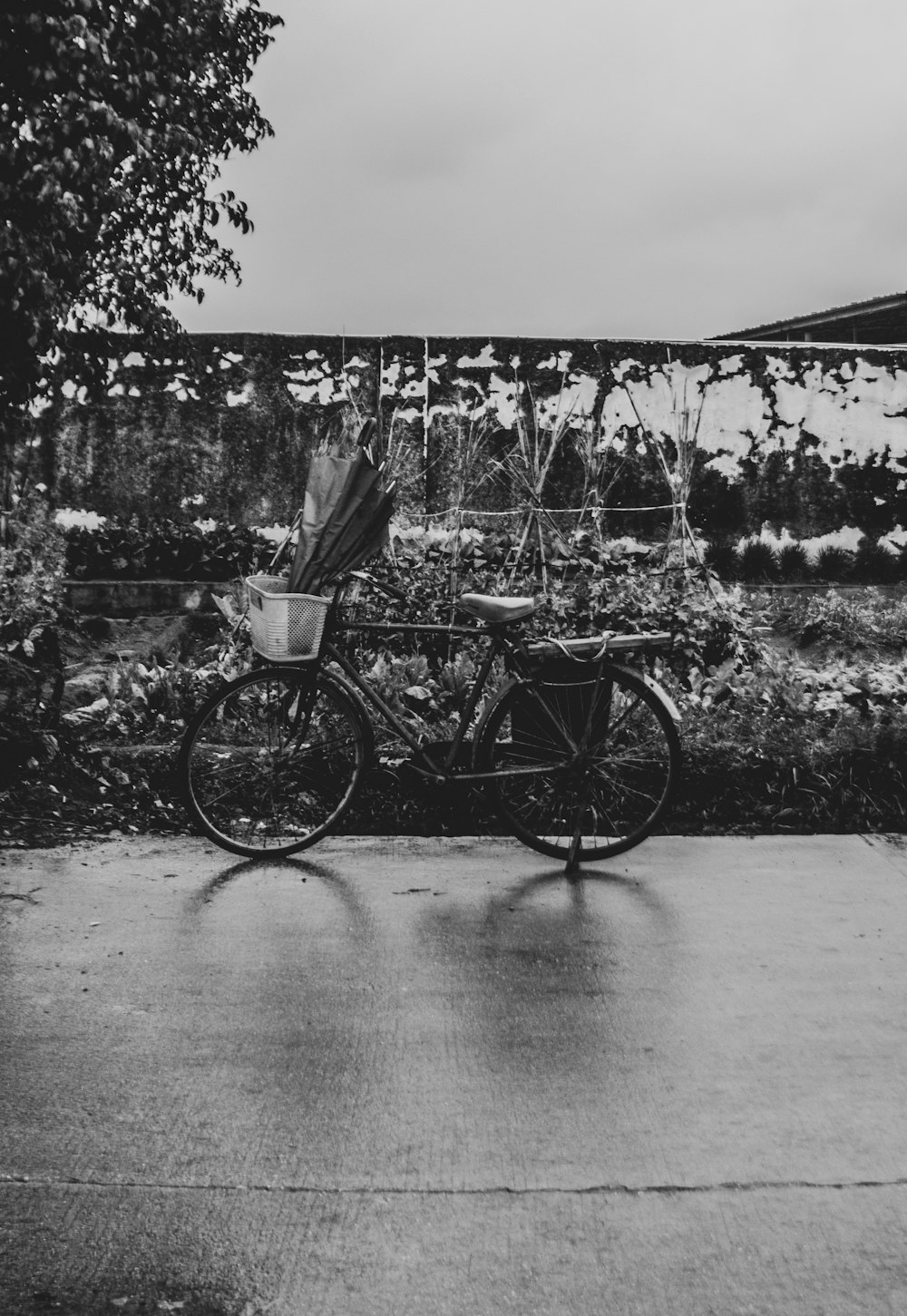 grayscale photo of woman sitting on bicycle