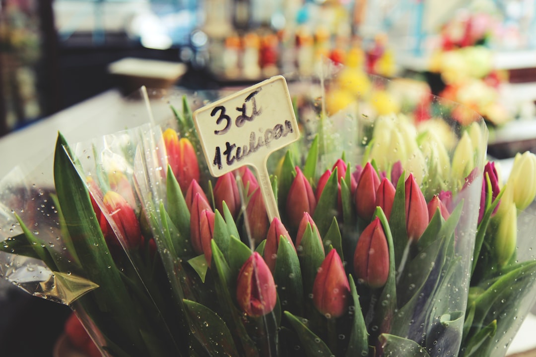 pink tulips in clear glass vase