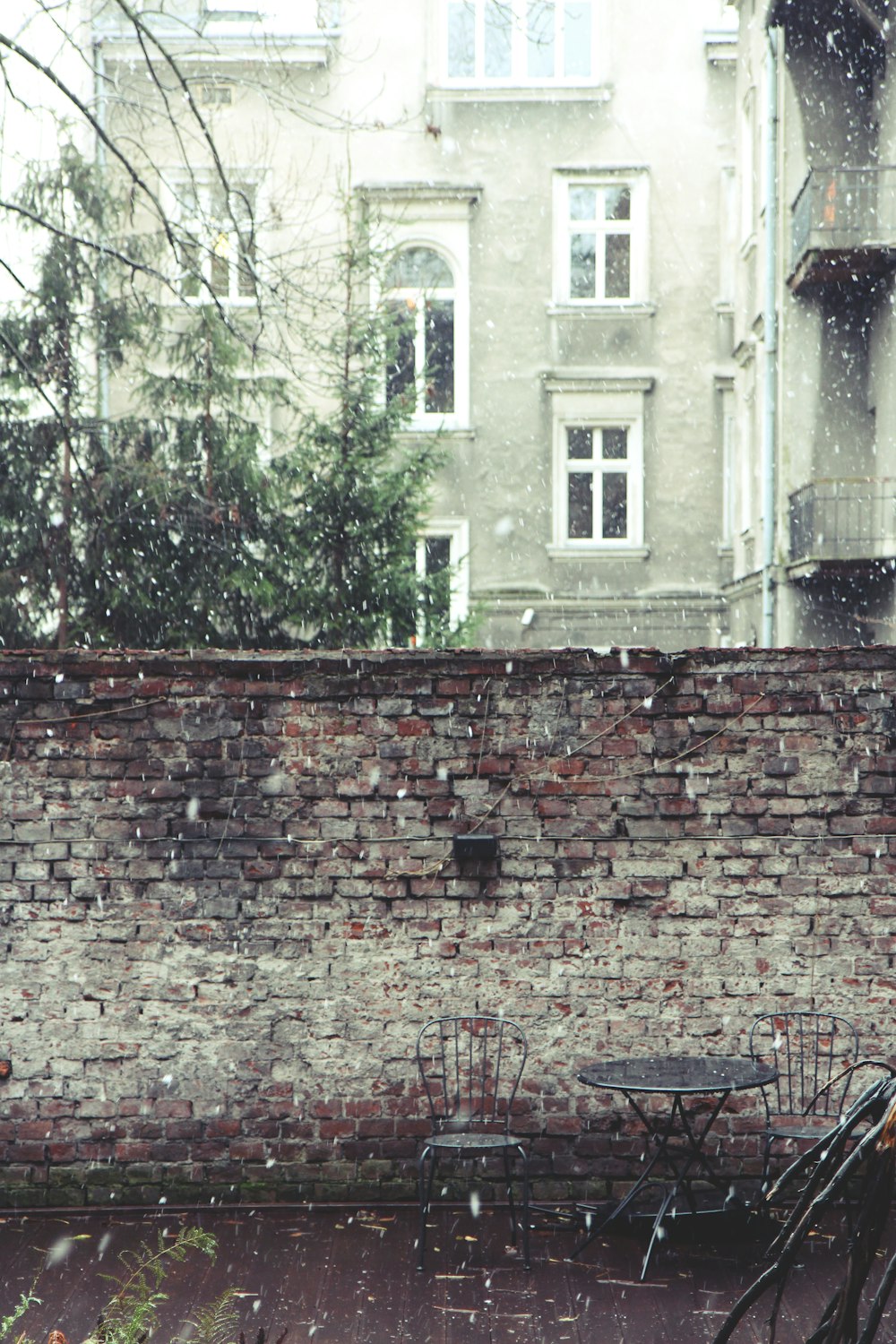 brown brick wall with green trees